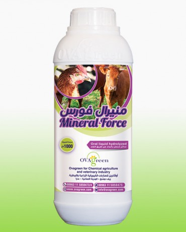 منيرال فورس