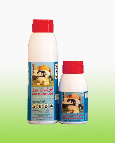 غولدن بور - SC