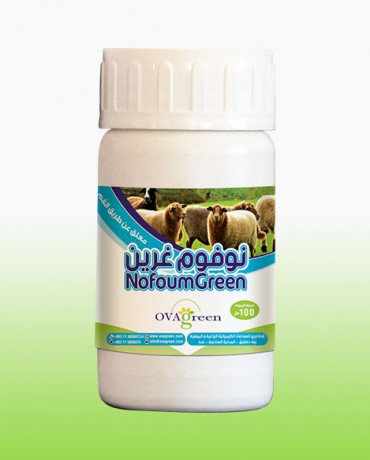 نوفوم غرين