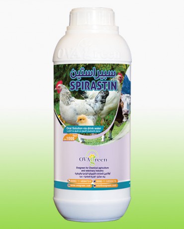 سبيراستين غرين