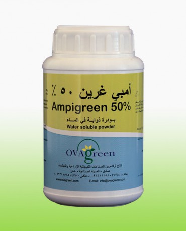 أمبي غرين 50%