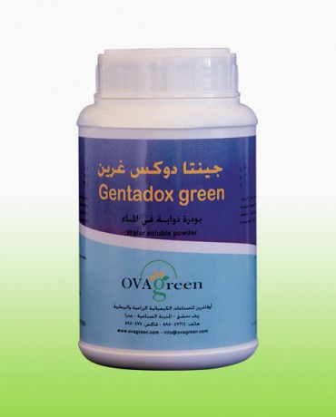 جينتا دوكس غرين