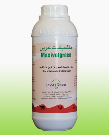 ماكسيفيت غرين