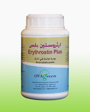 آرثروستين بلس