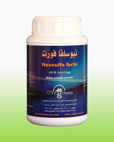 نيوسلفا فورت