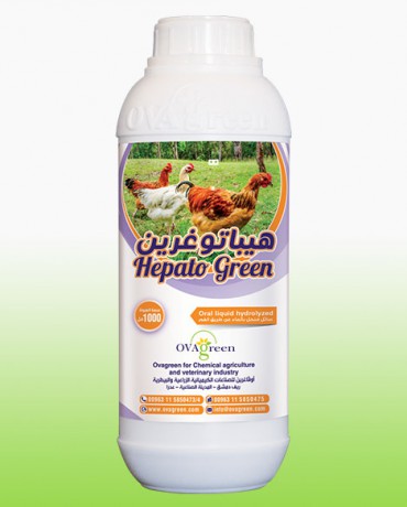 هيباتوغرين